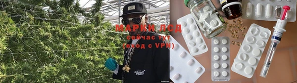 гидропоника Володарск