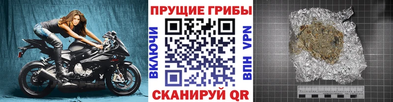 купить закладку  Калининск  darknet формула  Галлюциногенные грибы Psilocybine cubensis 